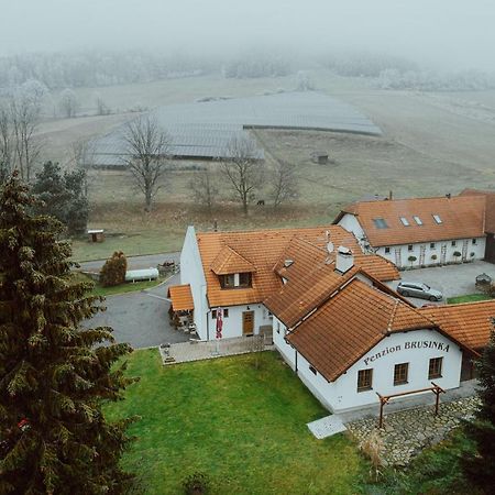 Penzion Brusinka Kocourov (Pilsen) Exterior foto